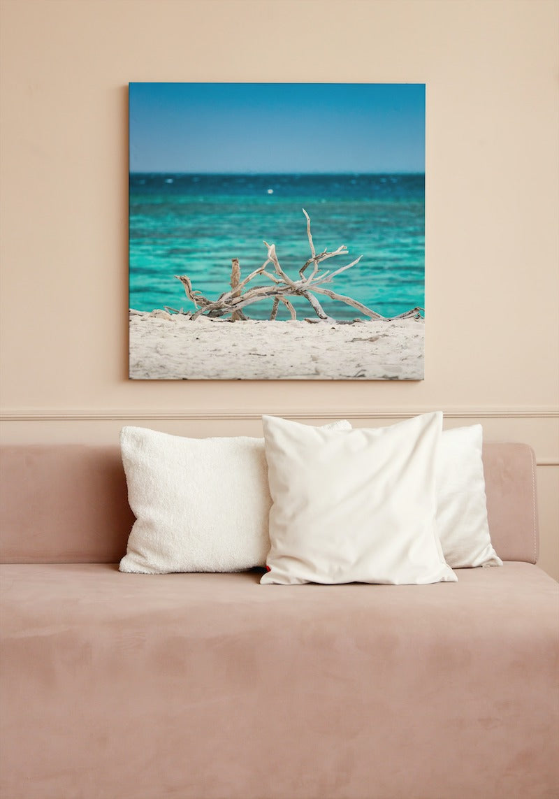 HERON ISLAND BLUES