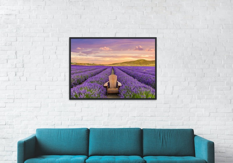 NEW ZEALAND LAVENDER