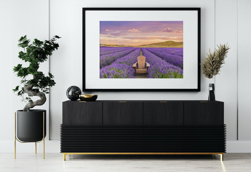 NEW ZEALAND LAVENDER