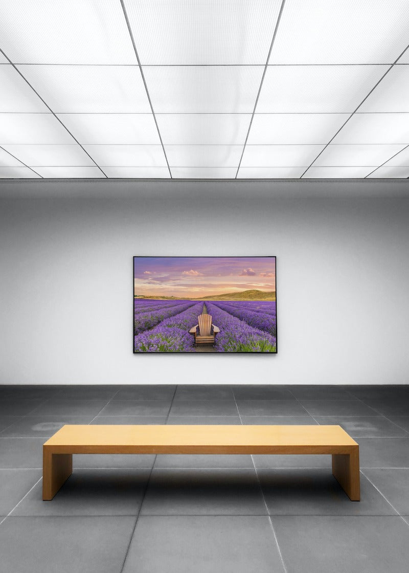 NEW ZEALAND LAVENDER