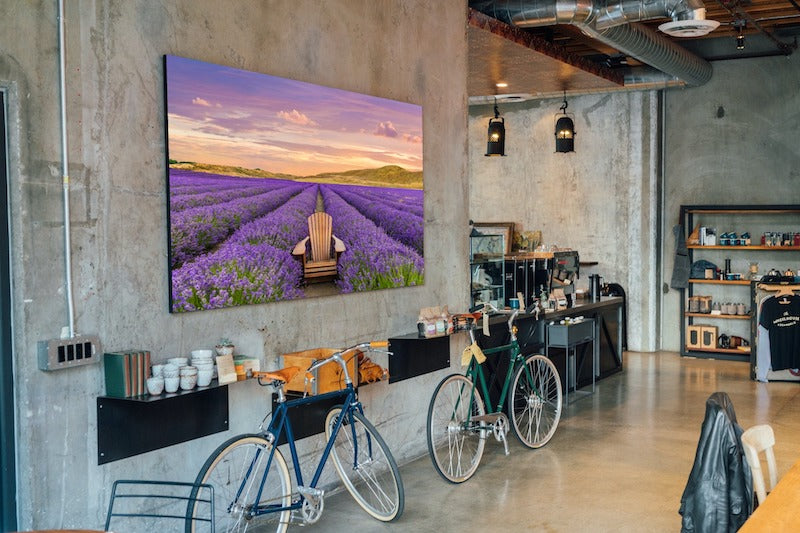 NEW ZEALAND LAVENDER