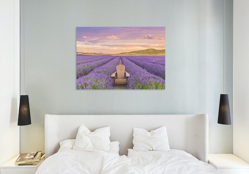 NEW ZEALAND LAVENDER
