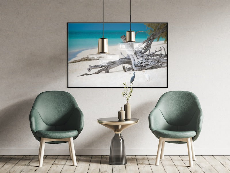 HERON ISLAND HERONS