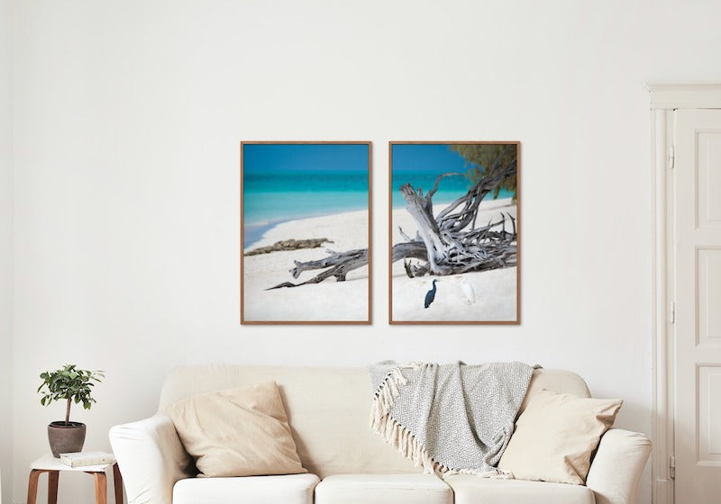 HERON ISLAND HERONS