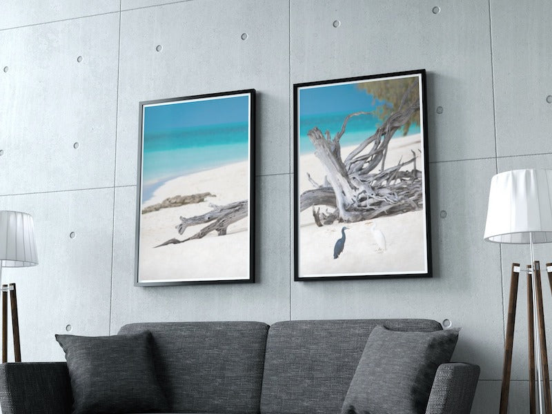 HERON ISLAND HERONS