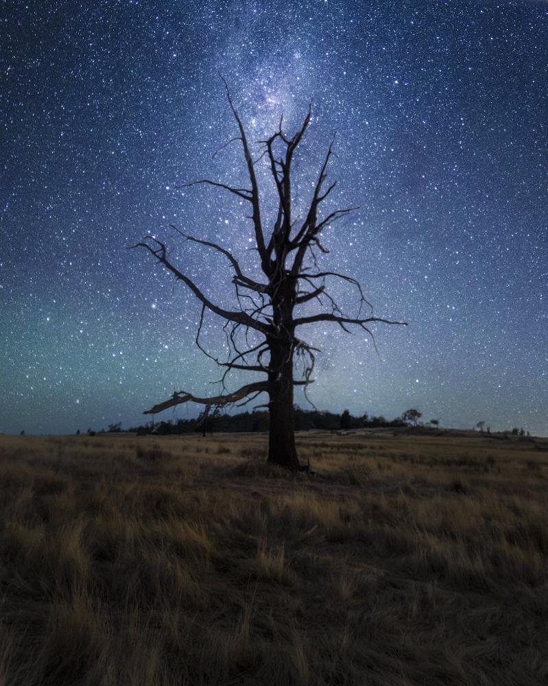 Wagga Wagga