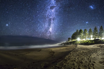 Beach Pine Astro