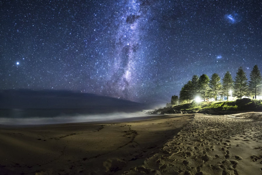 Beach Pine Astro