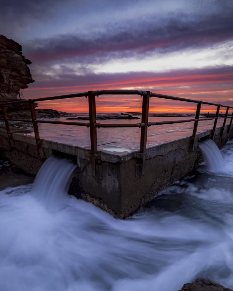 North Curly