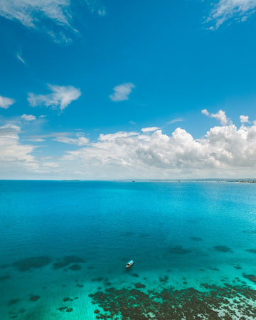 Paradise Blues