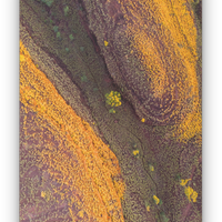 SUNSET ROCK | KUNUNURRA