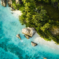 Tropical State Of Mind