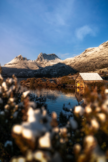 Sunrise at Cradle Mountain