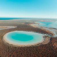 Paradise Pool
