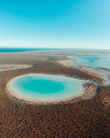 Paradise Pool