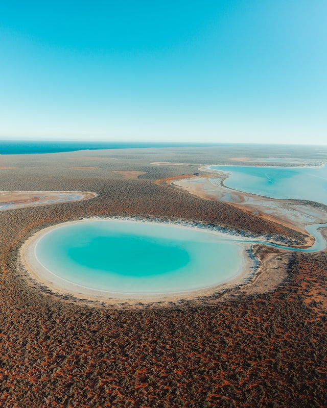 Paradise Pool