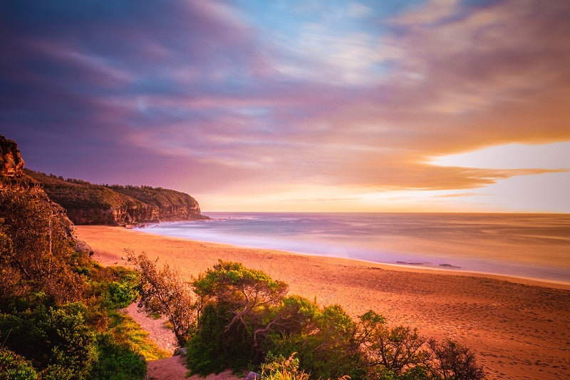 Turimetta Rising
