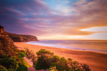 Turimetta Rising