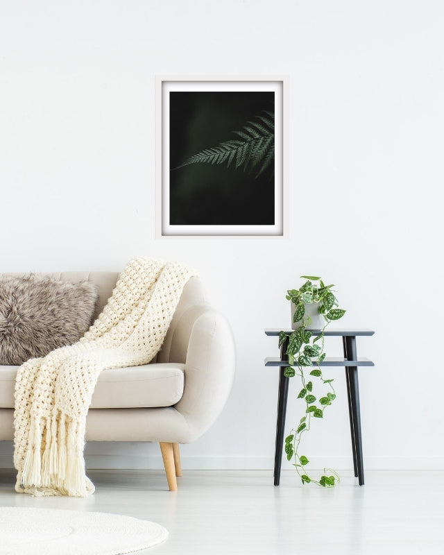 Single Tassie Fern