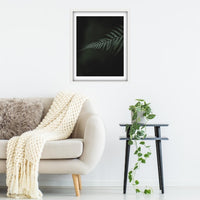 Single Tassie Fern