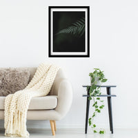 Single Tassie Fern