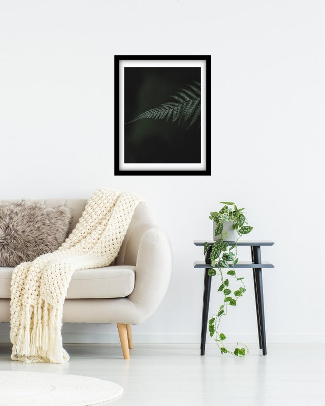Single Tassie Fern