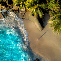 Lost in paradise