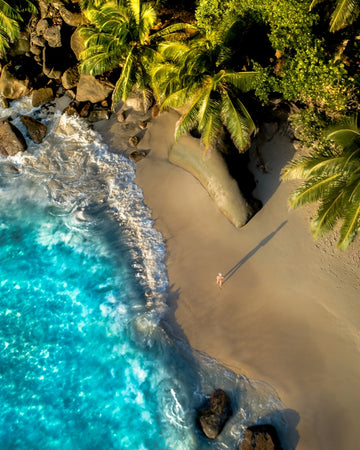 Lost in paradise