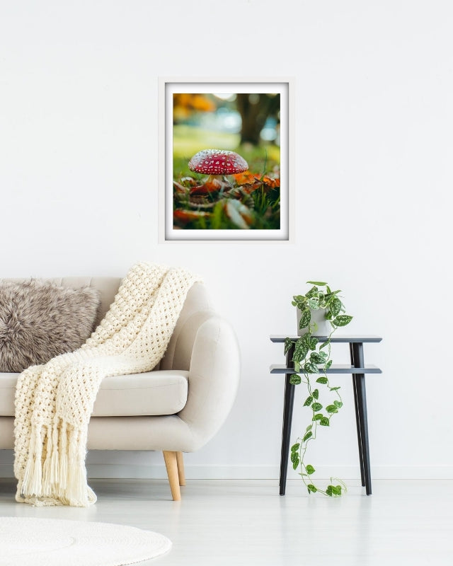 Autumn Mushroom