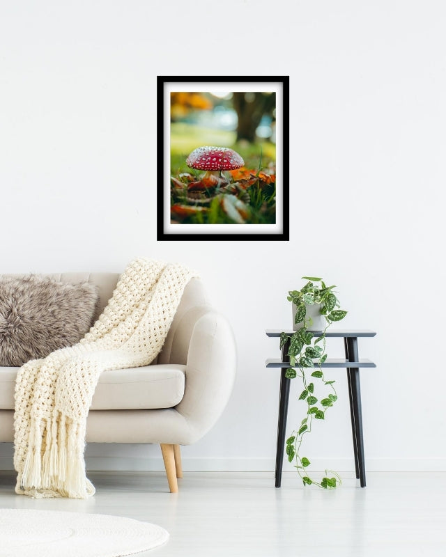 Autumn Mushroom