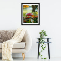 Autumn Mushroom