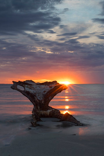 C.Y. O'CONNOR BEACH | PERTH