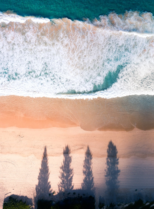 4 Pines