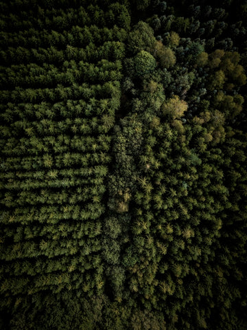 50 Shades of Green