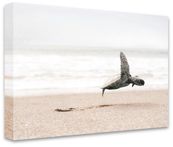 Taking Flight