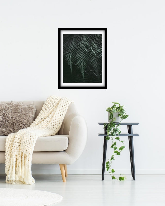 Lush moody set of Tassie Ferns