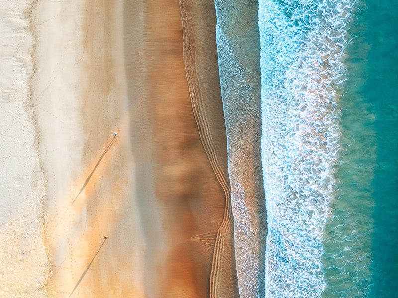 Freshwater - Lines & Shadow