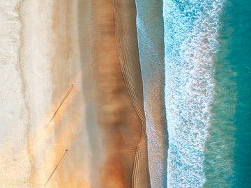 Freshwater - Lines & Shadow