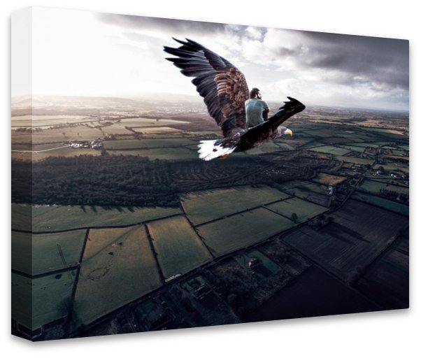 Eagle Flight