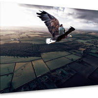Eagle Flight