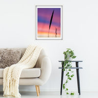 Simplicity sunset colours