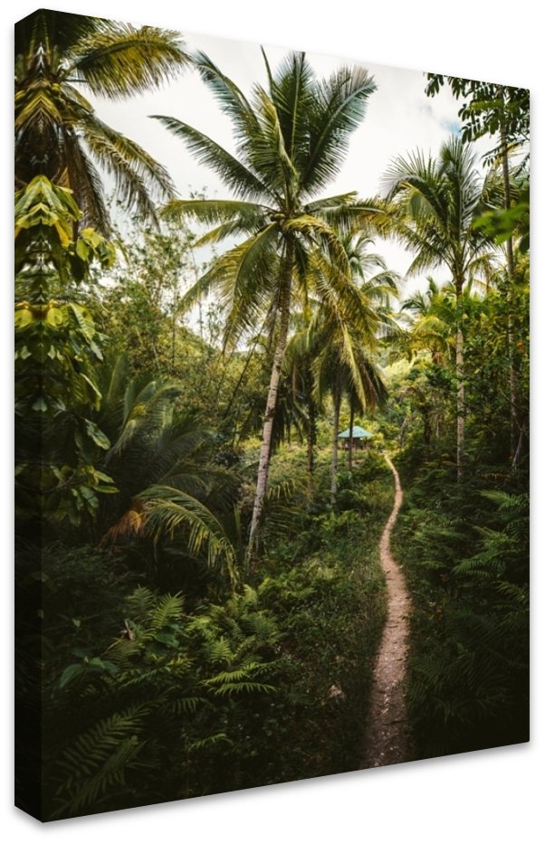 Into the Jungle