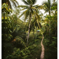 Into the Jungle