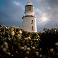 Cape Bruny
