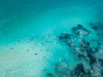 Alluring Surf