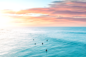 A Surfers View Landscape