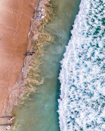 A Frigid Atlantic Frolic