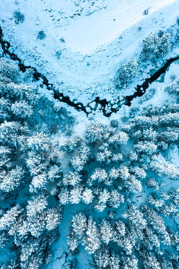 A Winter Tale