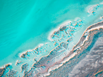 Above Shark Bay
