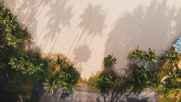 Afternoon Paradise